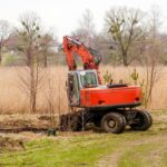 tree removal service